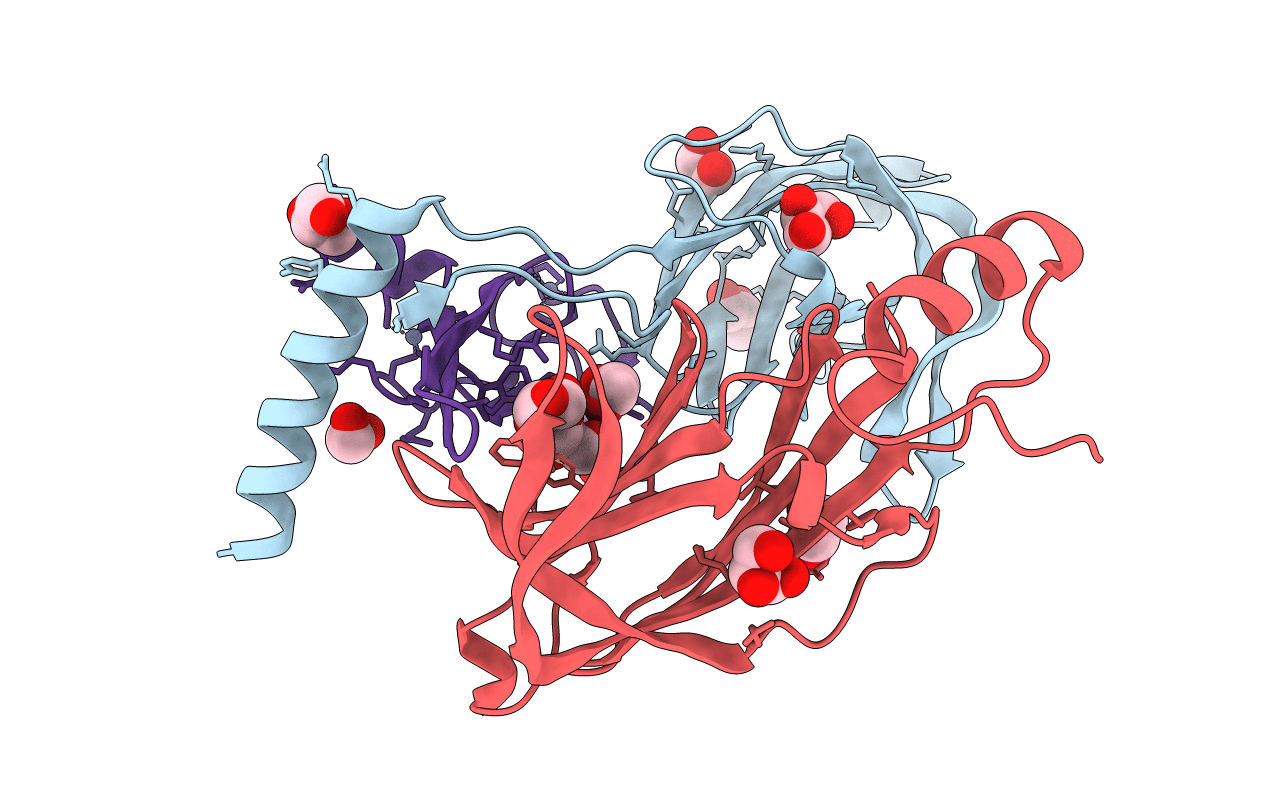 2CJS image