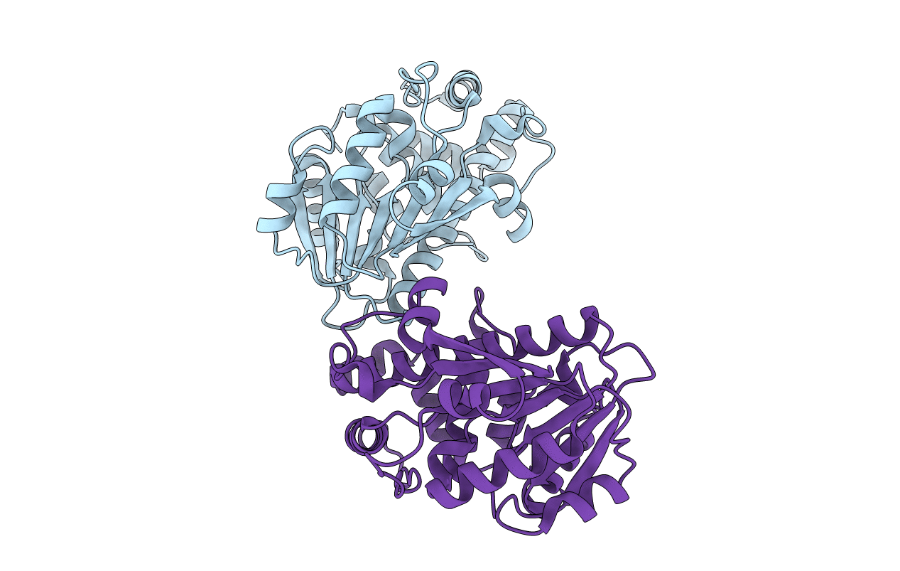 2CKD image