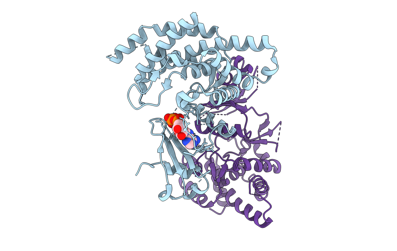 2CKP image