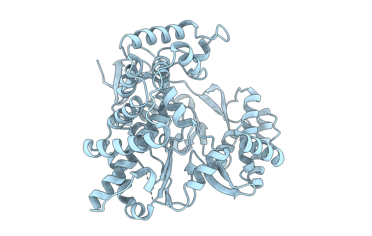 2CKW image