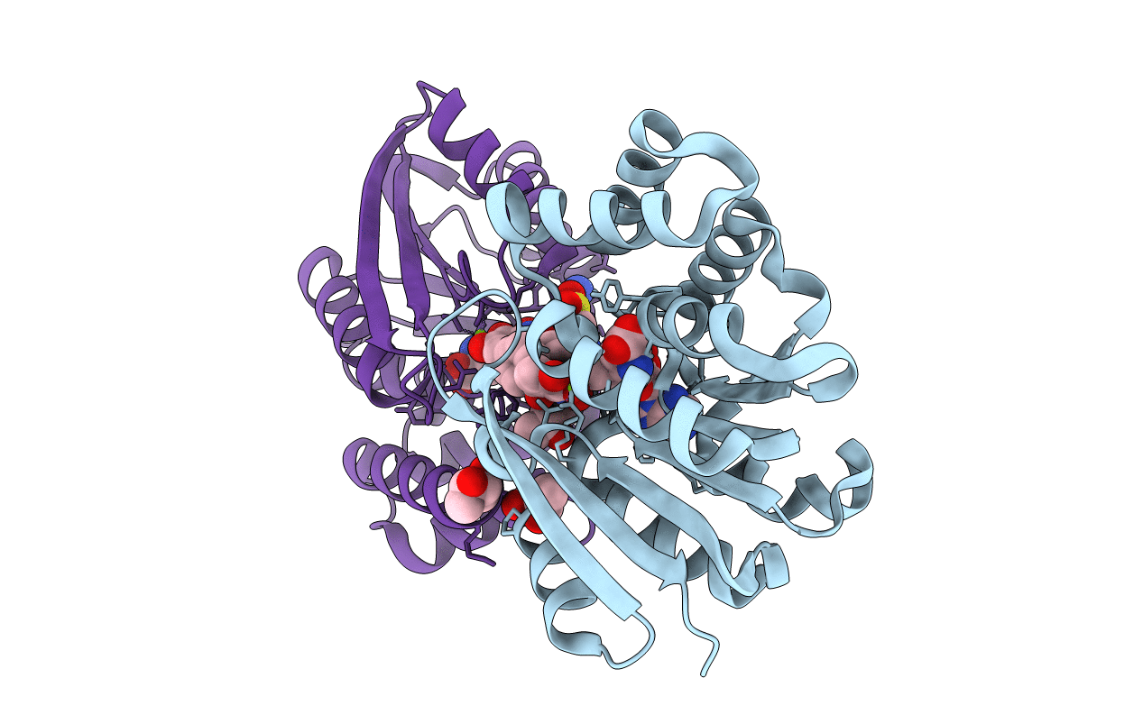 2CL5 image