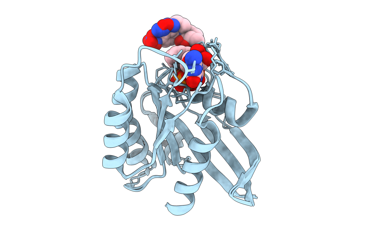 2CL6 image