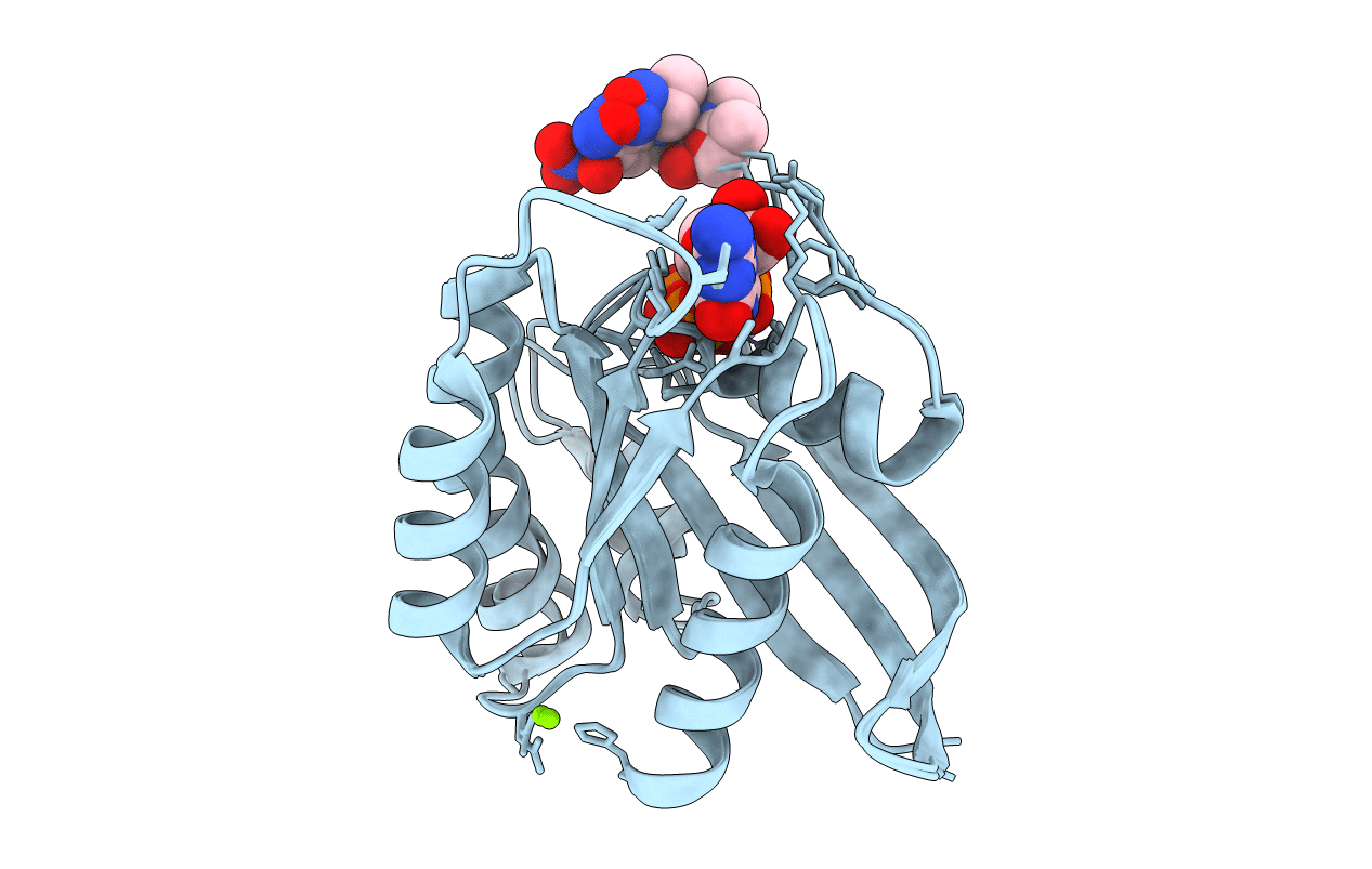 2CL7 image