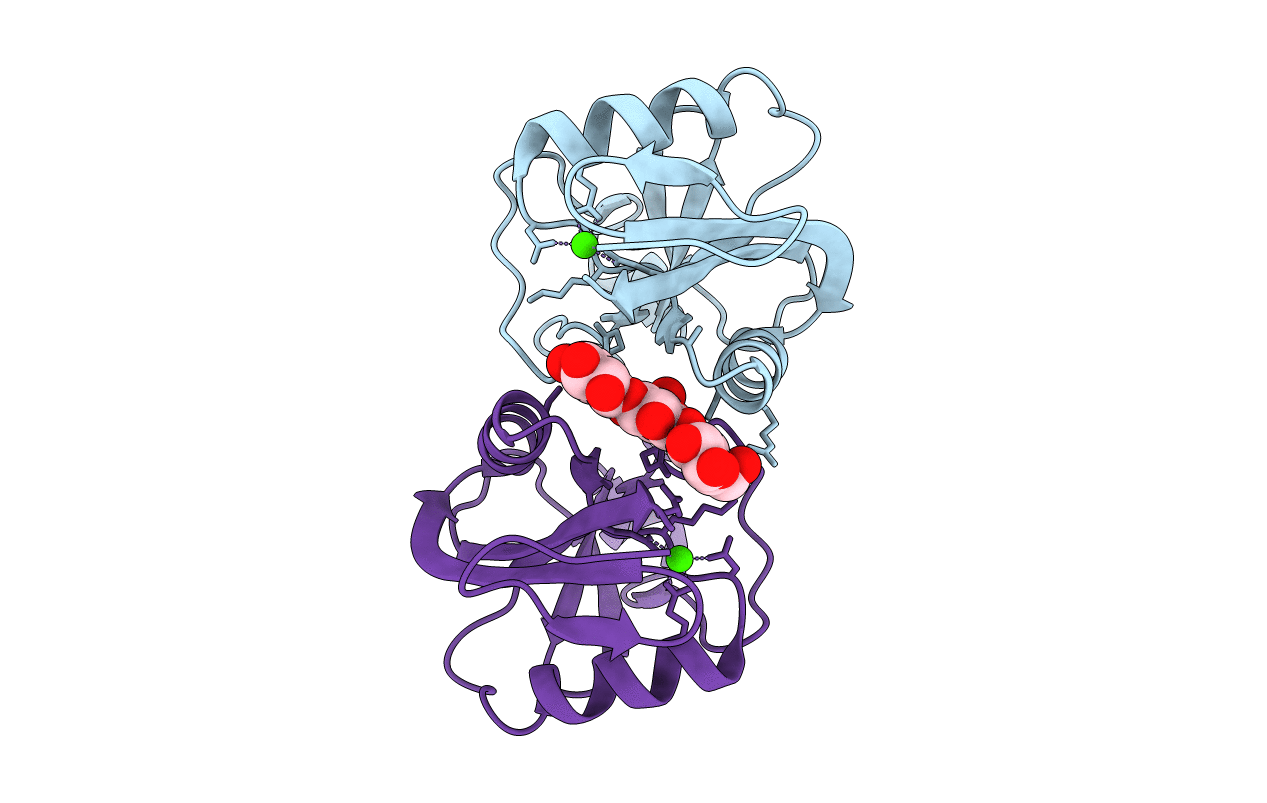 2CL8 image