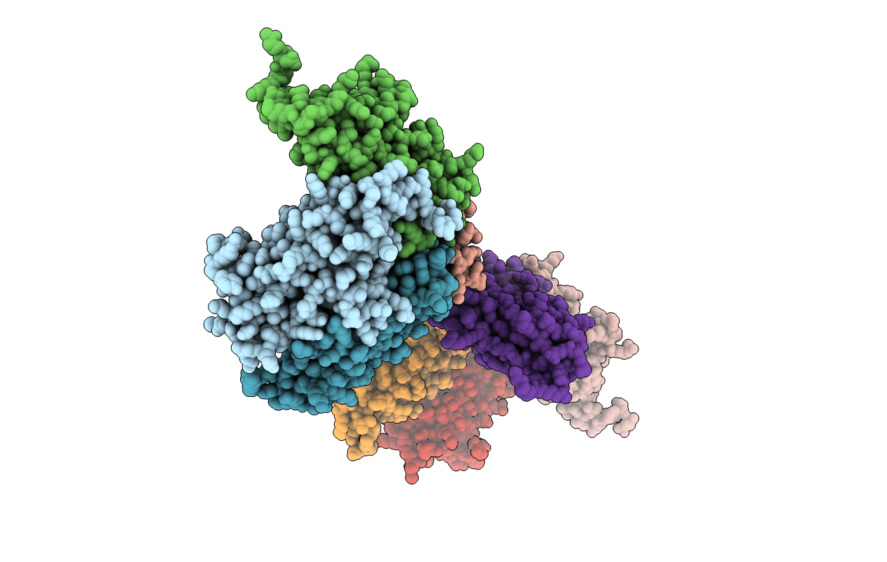 2CLB image