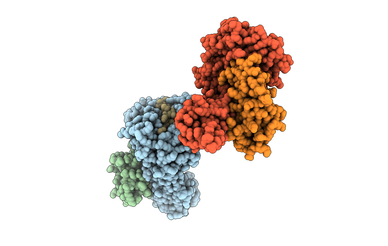 2CLR image