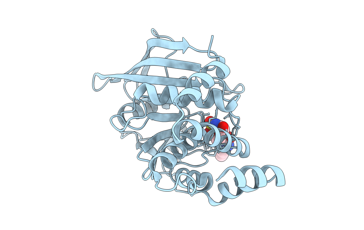 2CM7 image