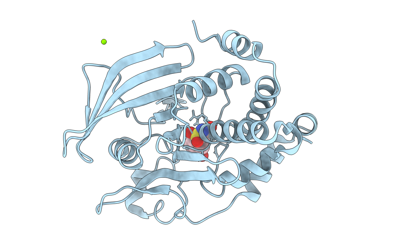 2CM8 image