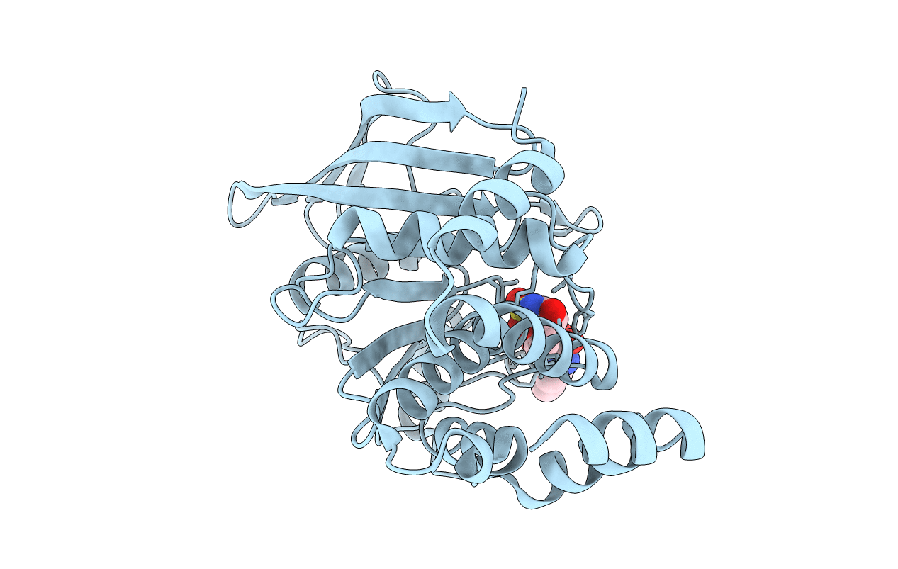 2CMA image