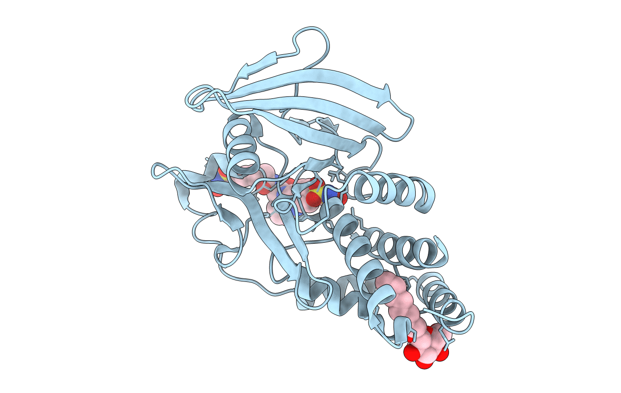 2CMB image