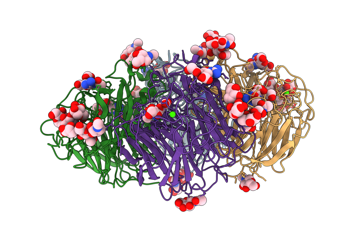 2CML image