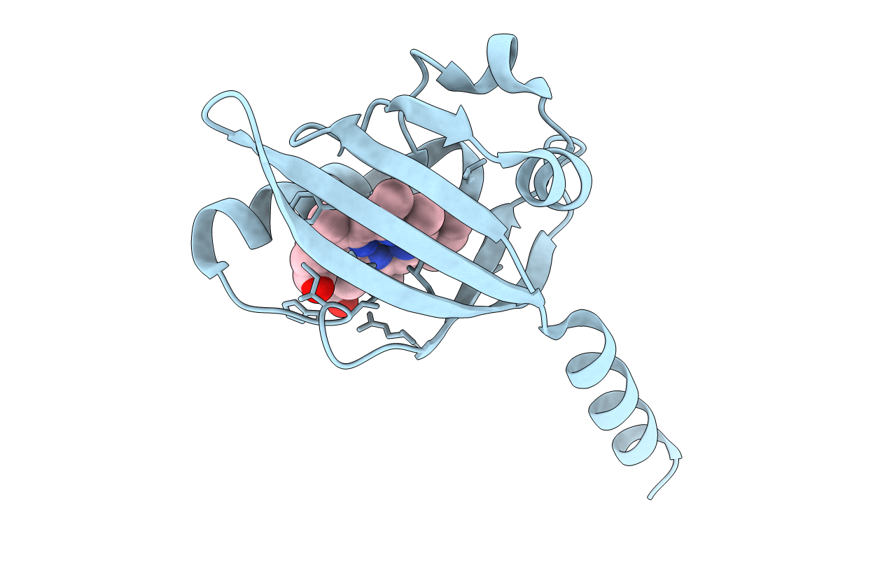 2CMN image