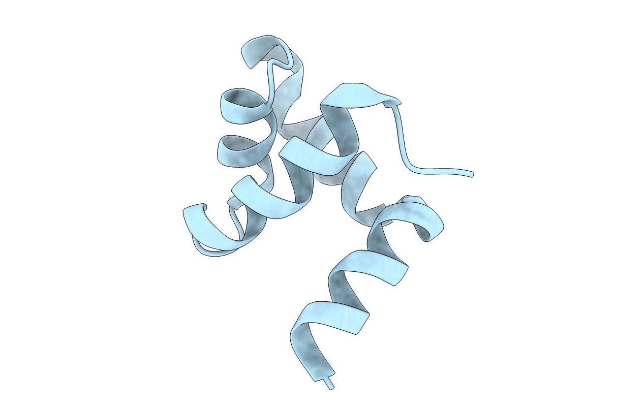 2cmp image