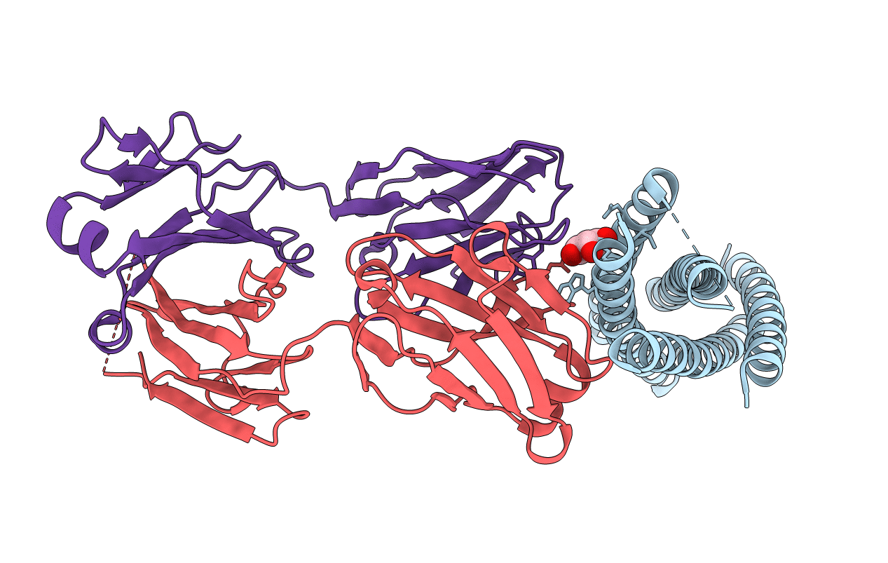 2CMR image