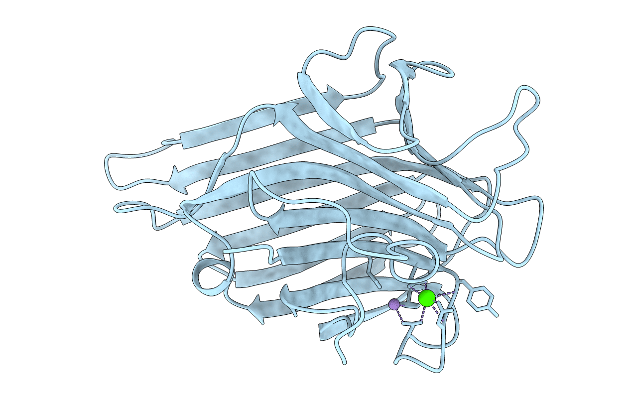 2CNA image