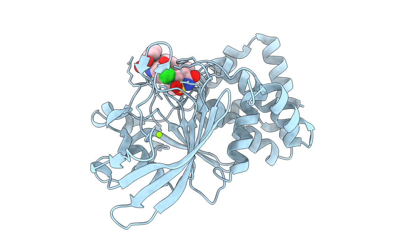 2CNI image