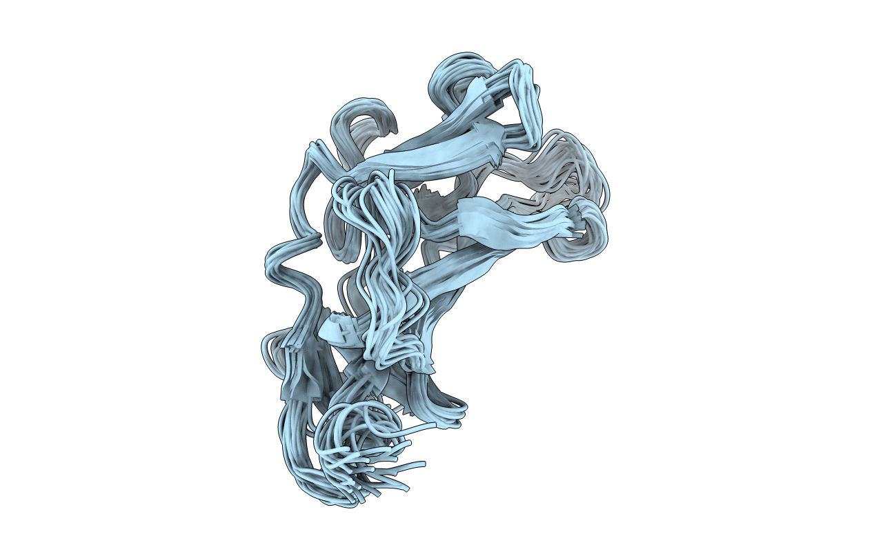 2CNJ image