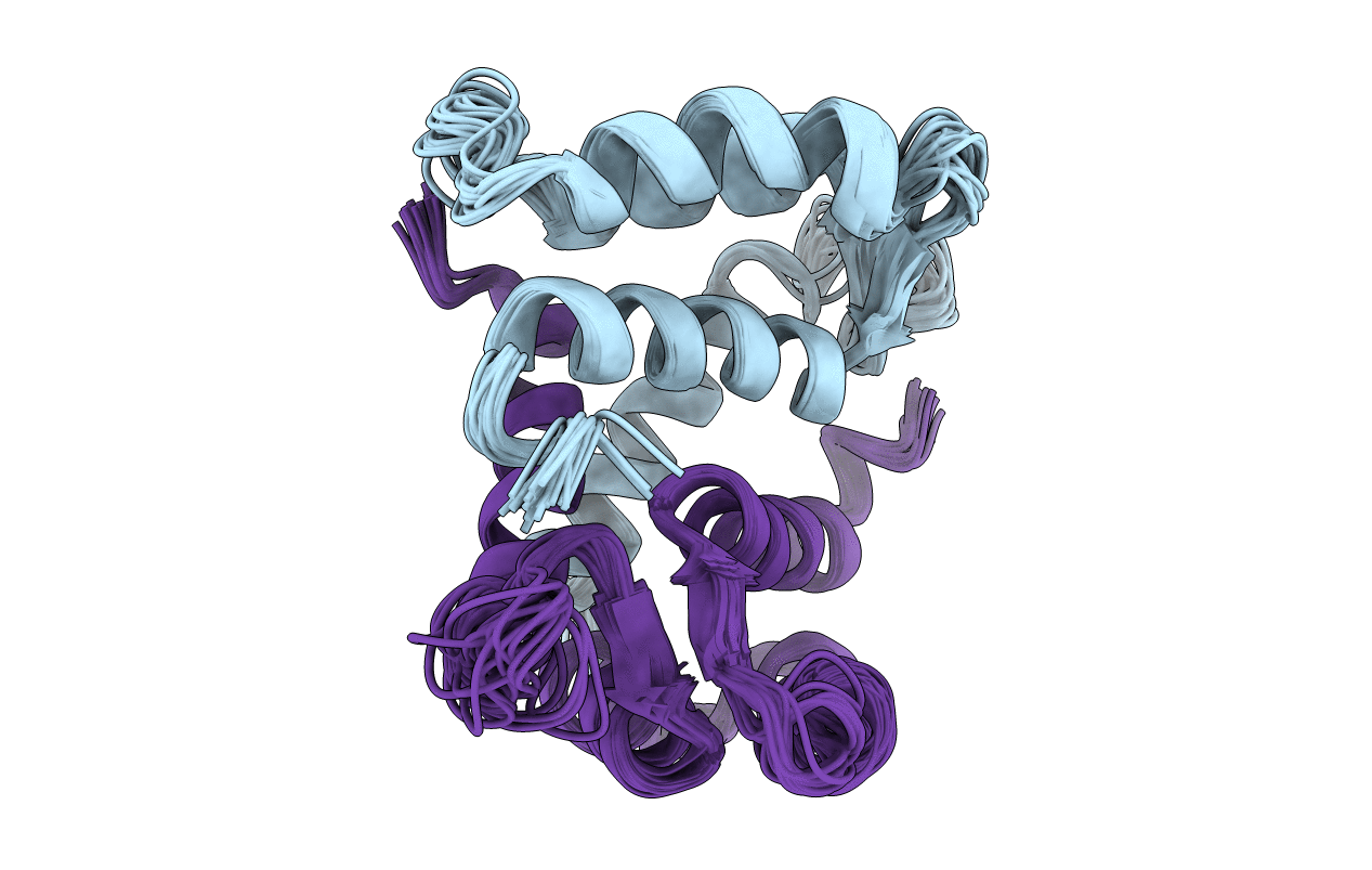 2CNP image
