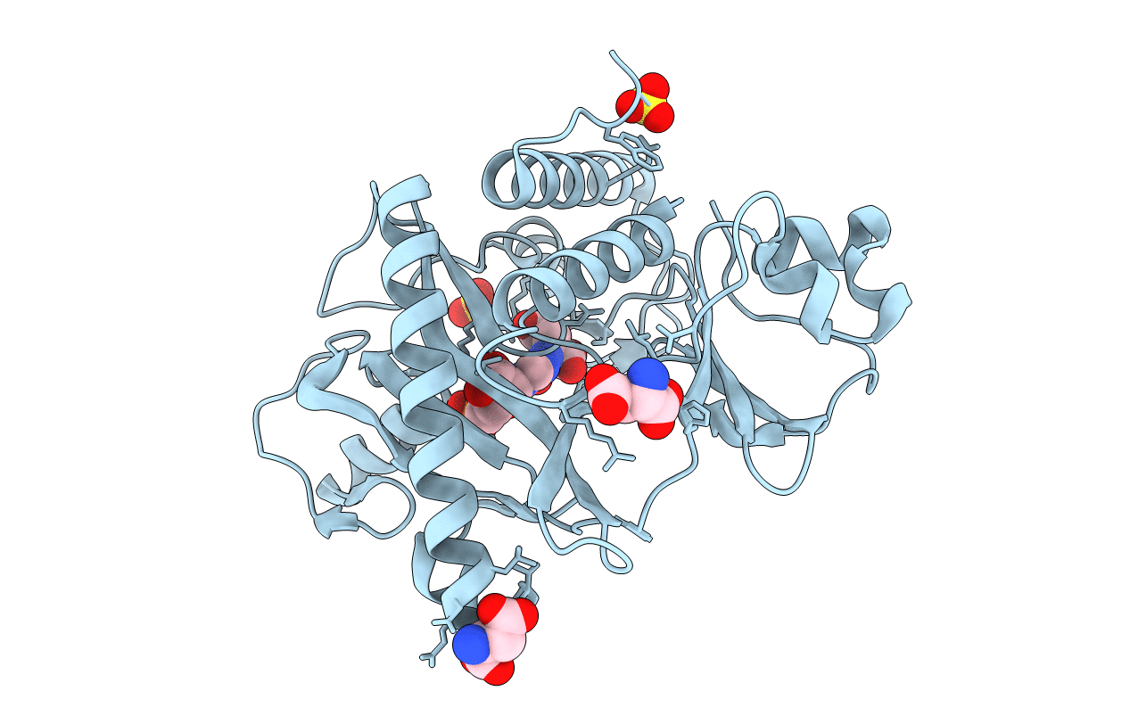 2CNV image