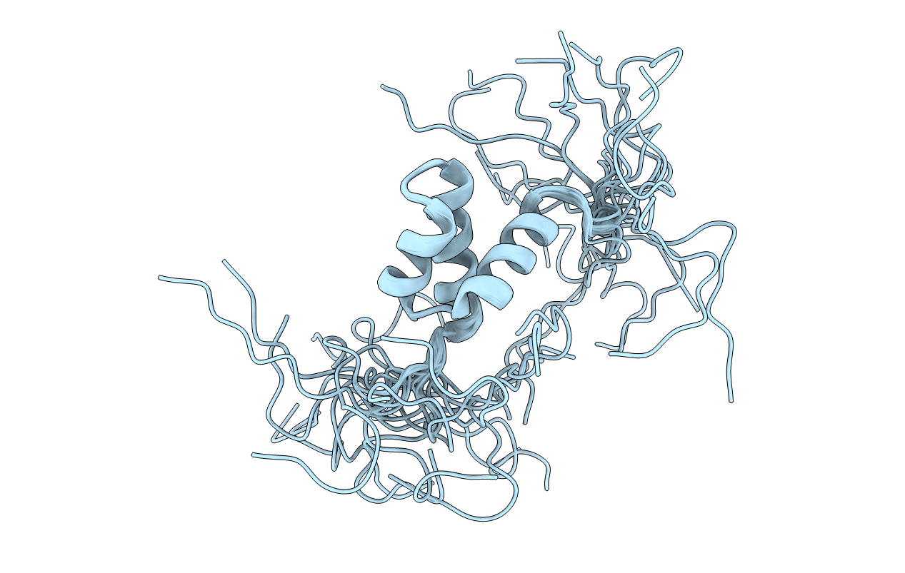 2COB image
