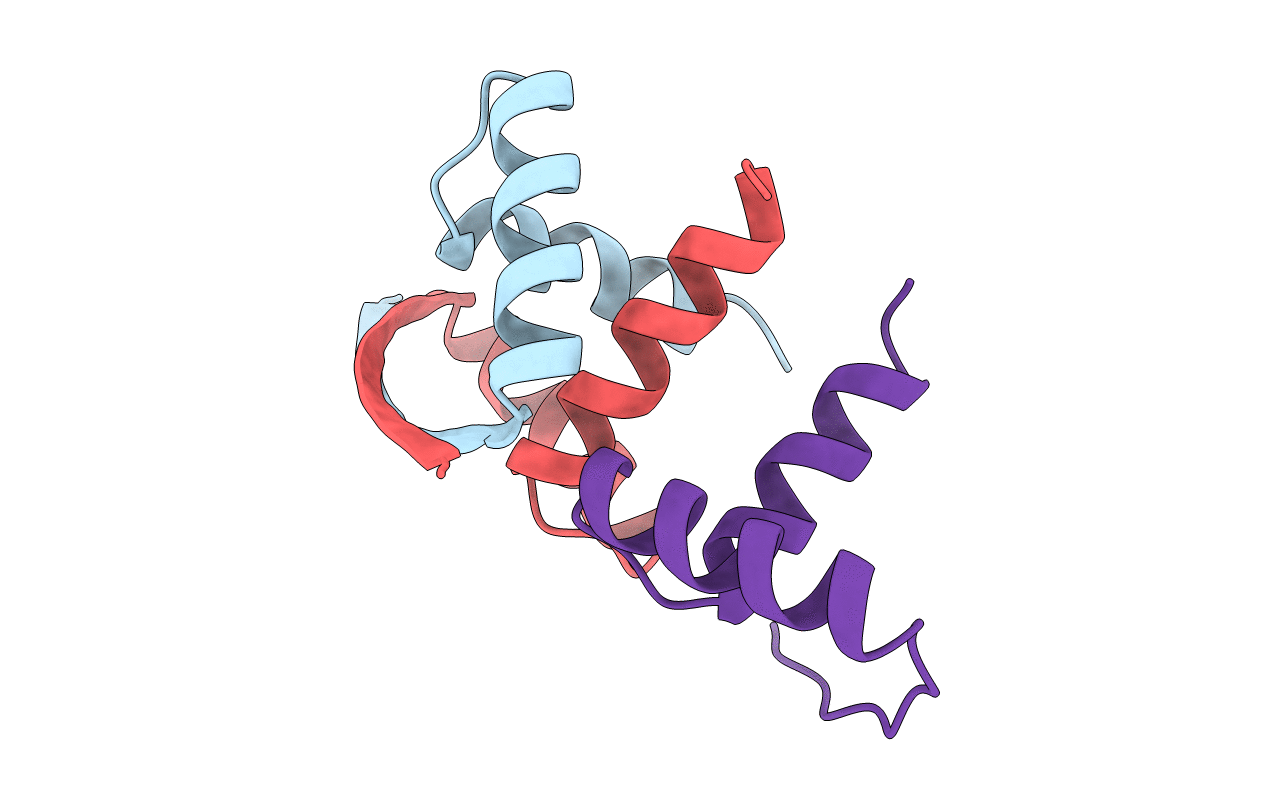 2CPG image