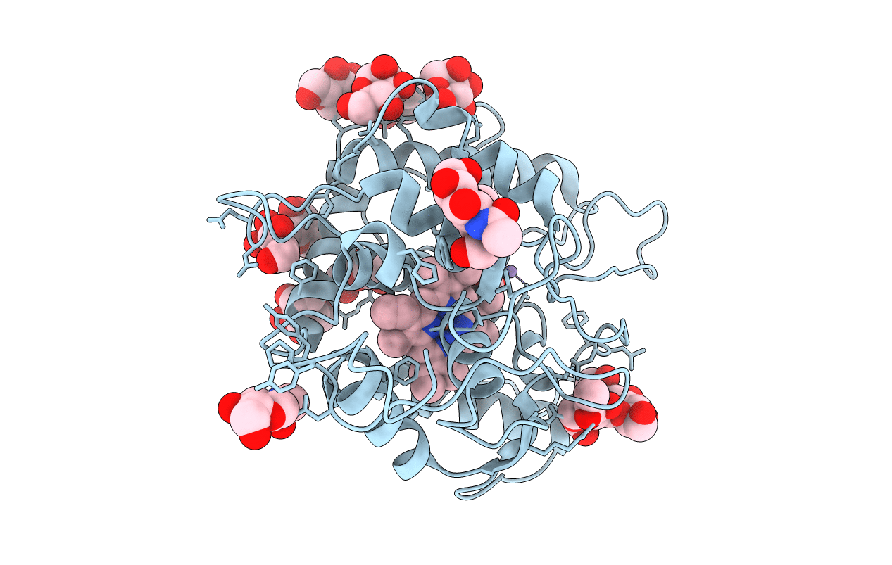 2CPO image