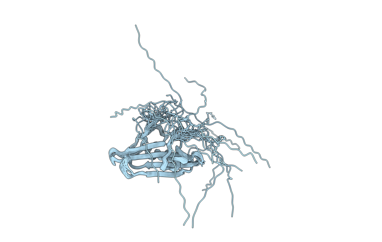 2CR9 image