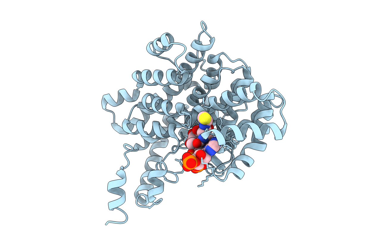 2CTS image