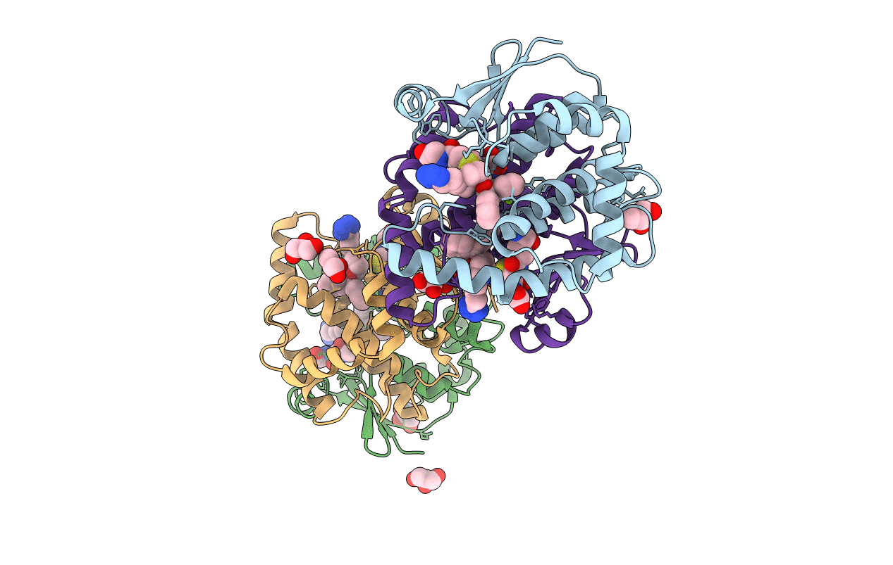 2cvd image