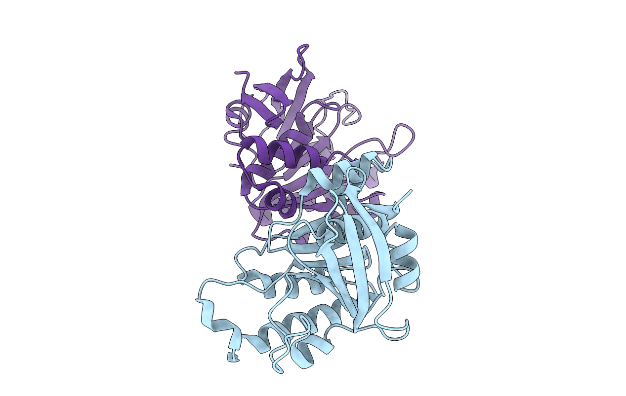 2CVH image