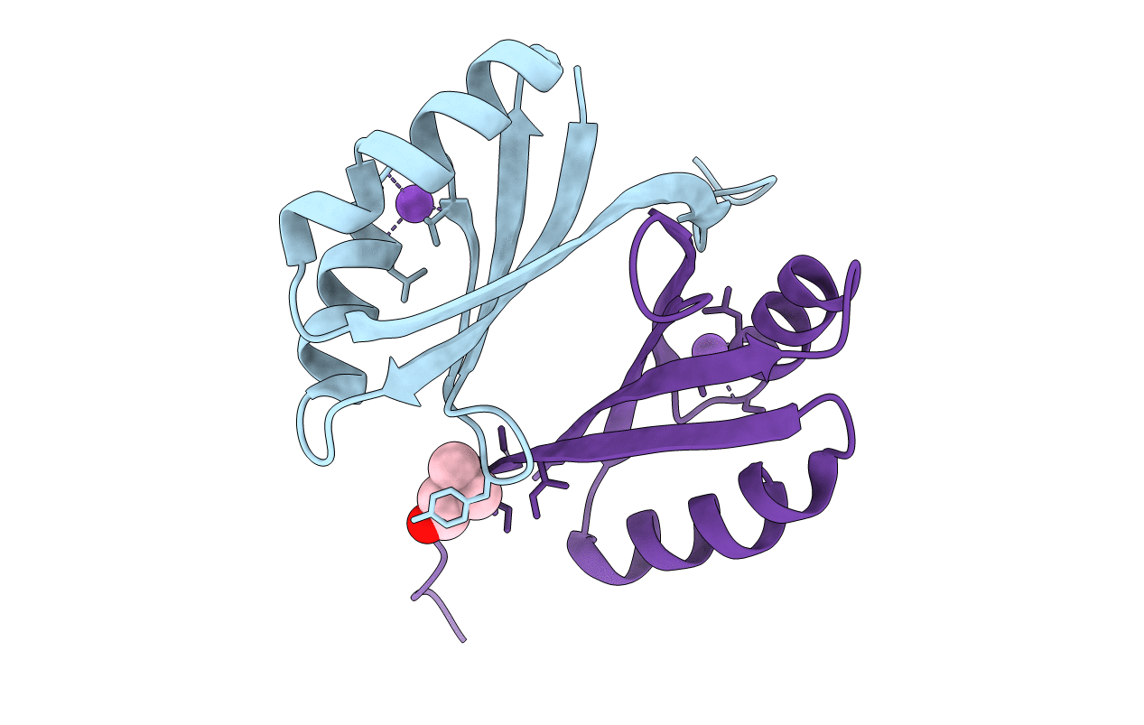 2CVI image