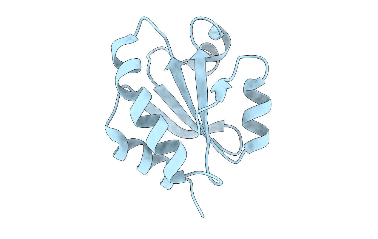 2CVK image