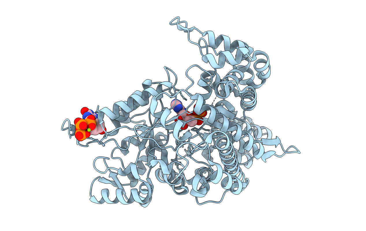 2CVX image