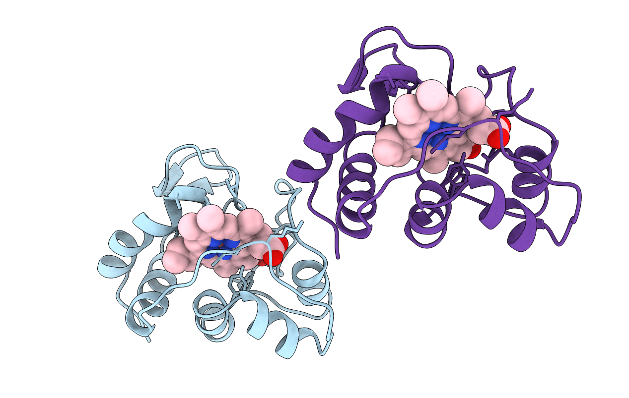 2CXB image