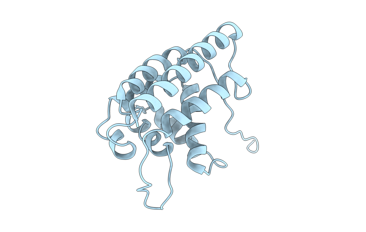 2CXF image