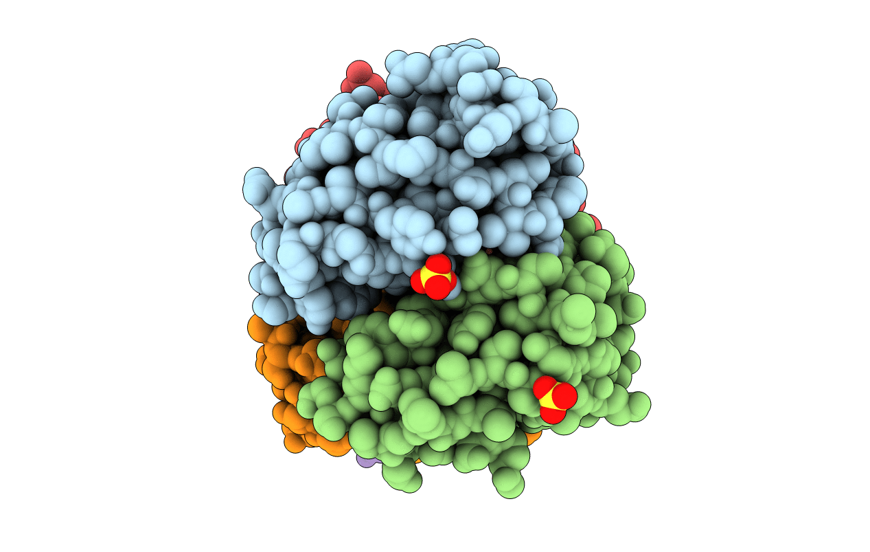 2CXK image