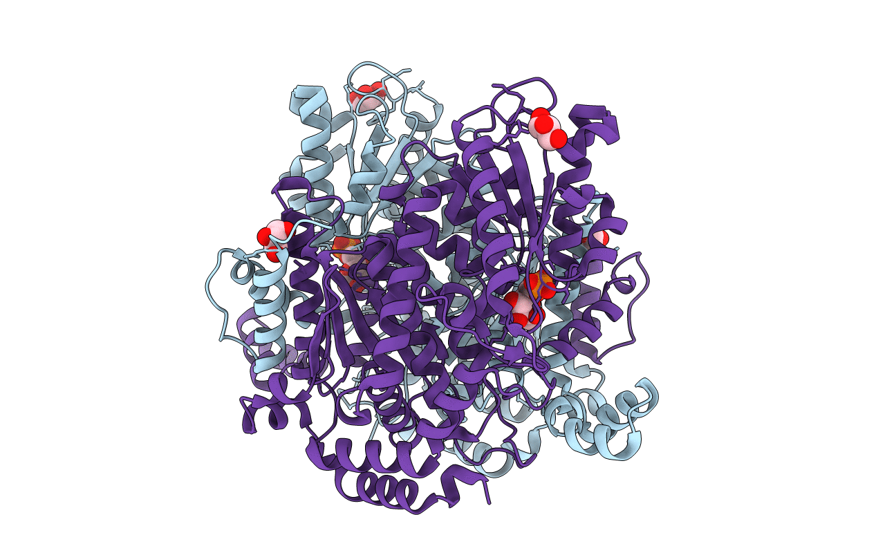 2CXS image