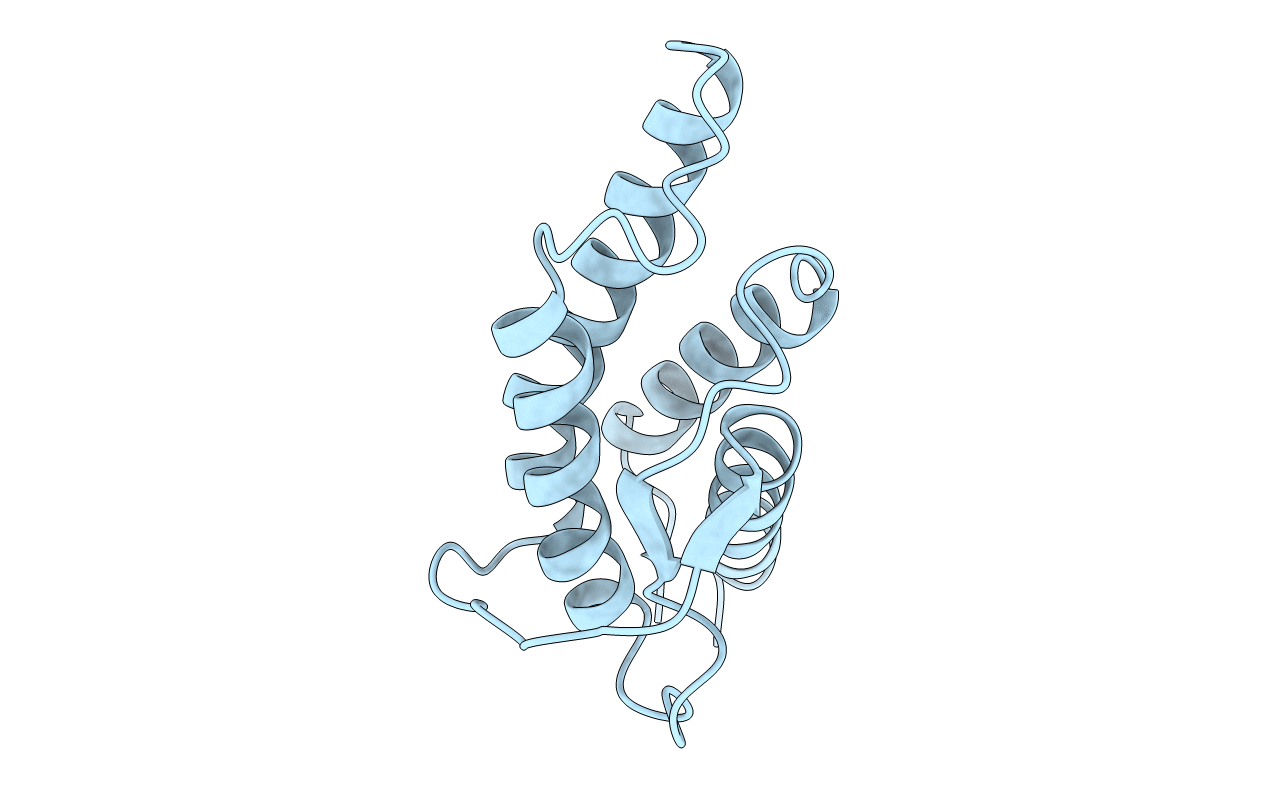 2CYK image