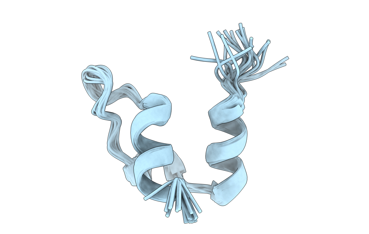 2CYU image