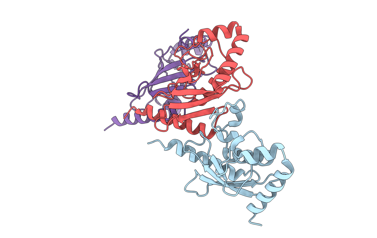 2CYX image