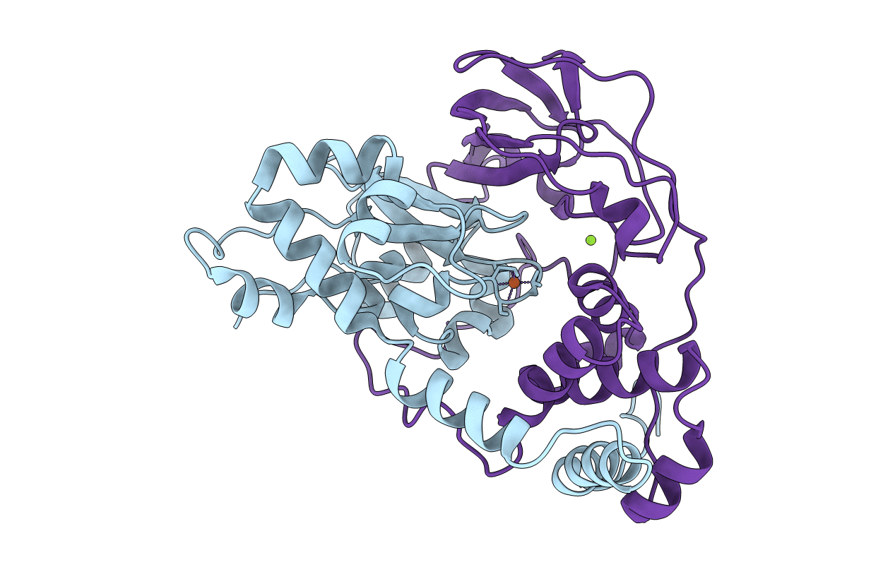 2CYZ image