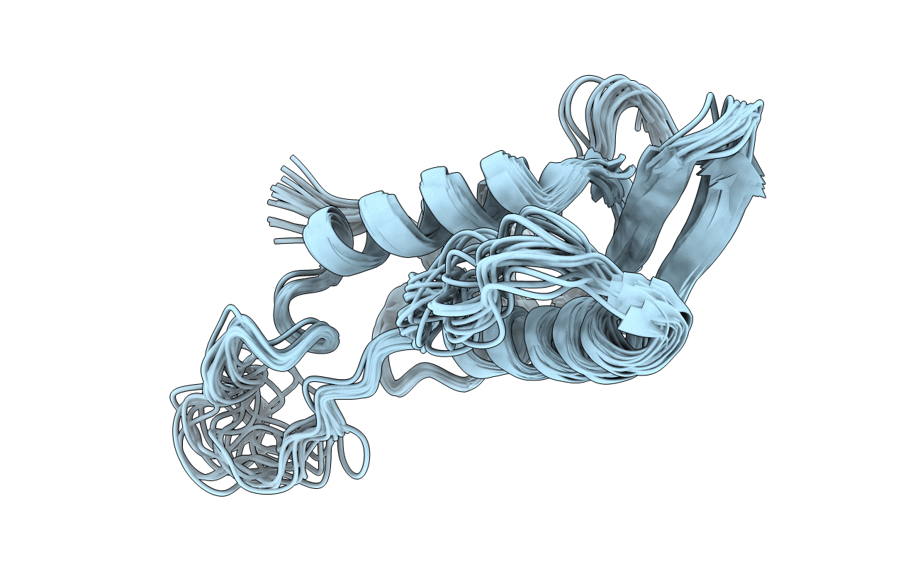 2CZO image