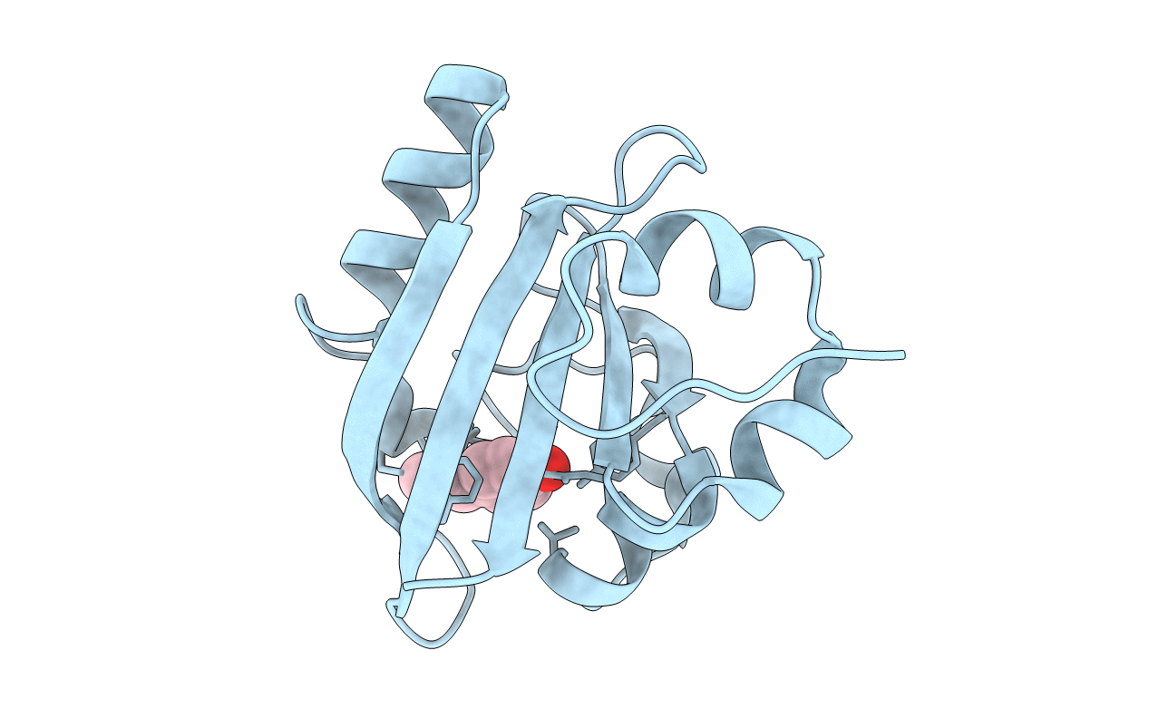 2D02 image