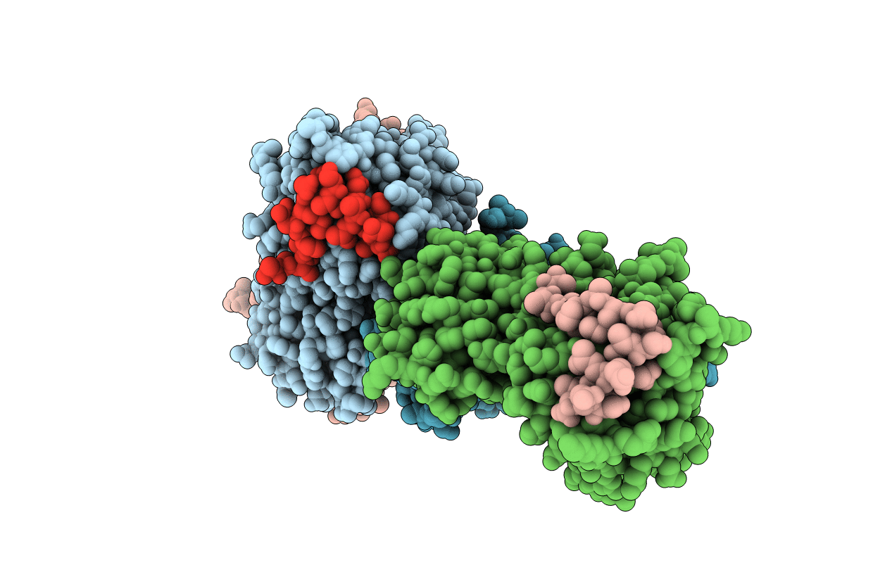 2D10 image