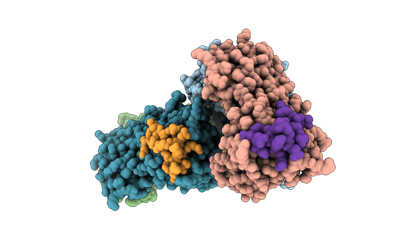2D11 image