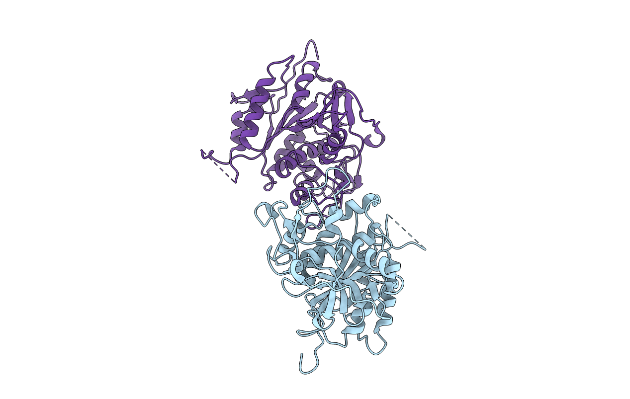 2D1I image