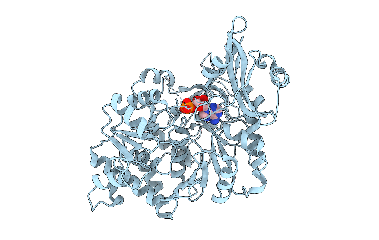 2D1Q image