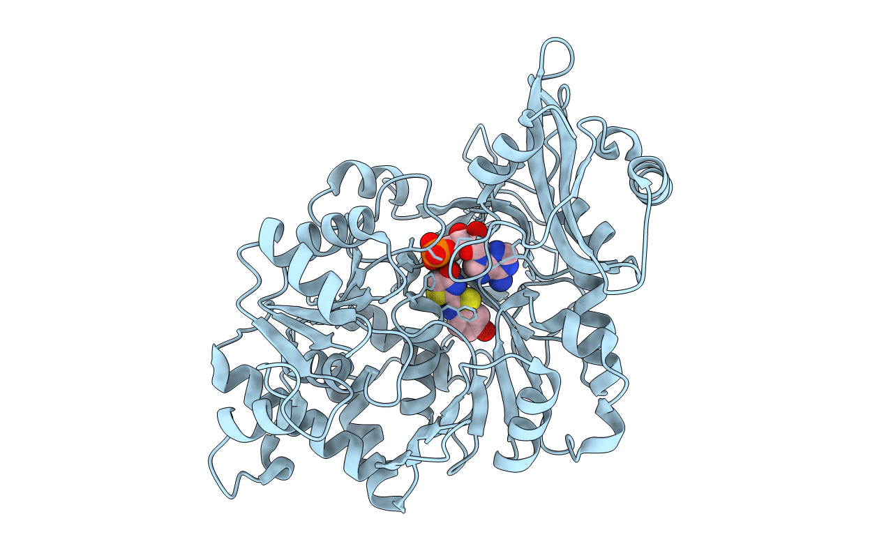 2D1R image