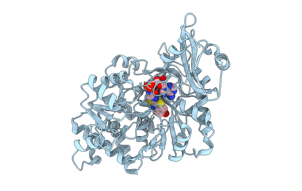 2D1S image