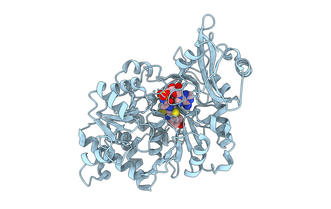 2D1T image